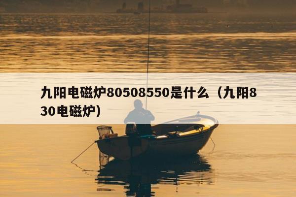 九阳电磁炉80508550是什么（九阳830电磁炉）