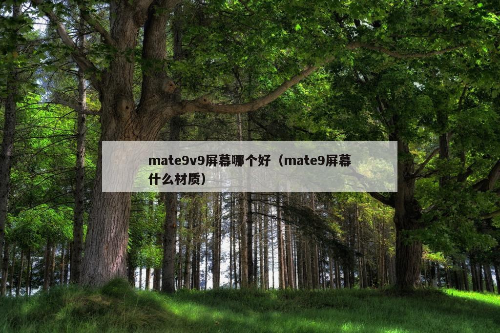 mate9v9屏幕哪个好（mate9屏幕什么材质）