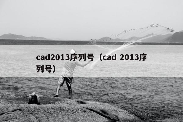 cad2013序列号（cad 2013序列号）