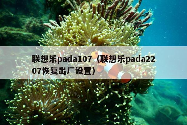 联想乐pada107（联想乐pada2207恢复出厂设置）