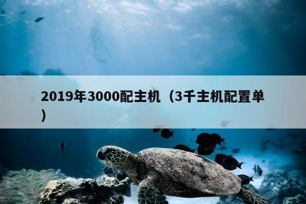 2019年3000配主机（3千主机配置单）