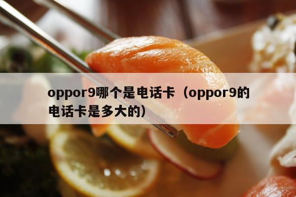 oppor9哪个是电话卡（oppor9的电话卡是多大的）