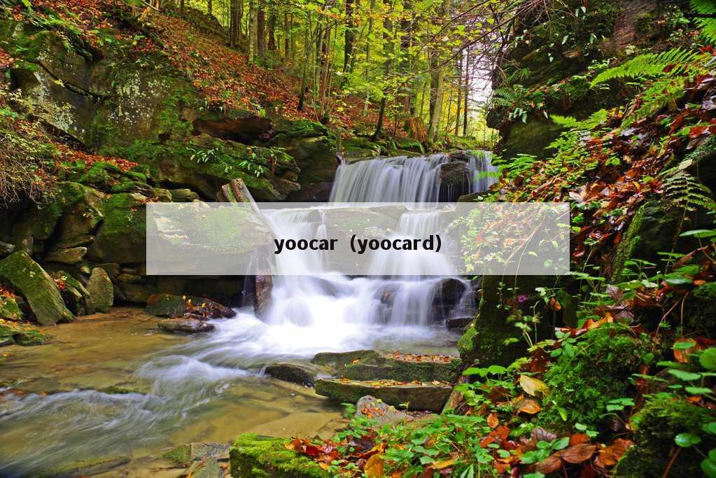 yoocar（yoocard）