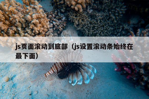 js页面滚动到底部（js设置滚动条始终在最下面）