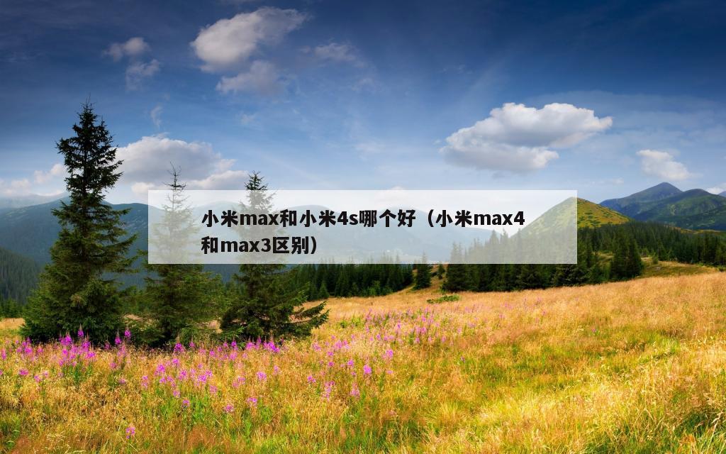 小米max和小米4s哪个好（小米max4和max3区别）