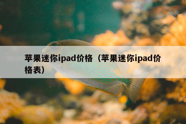 苹果迷你ipad价格（苹果迷你ipad价格表）