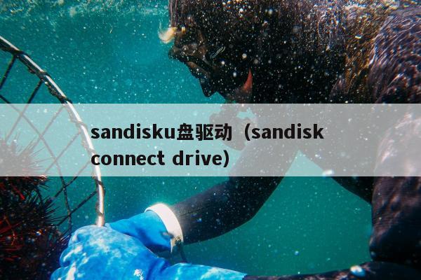 sandisku盘驱动（sandisk connect drive）