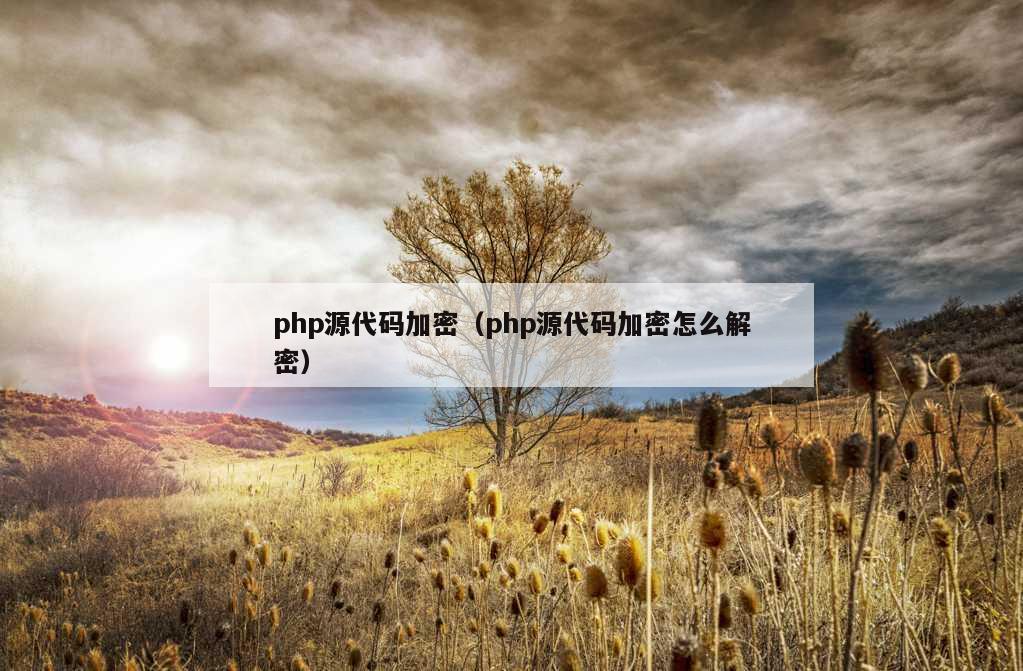 php源代码加密（php源代码加密怎么解密）