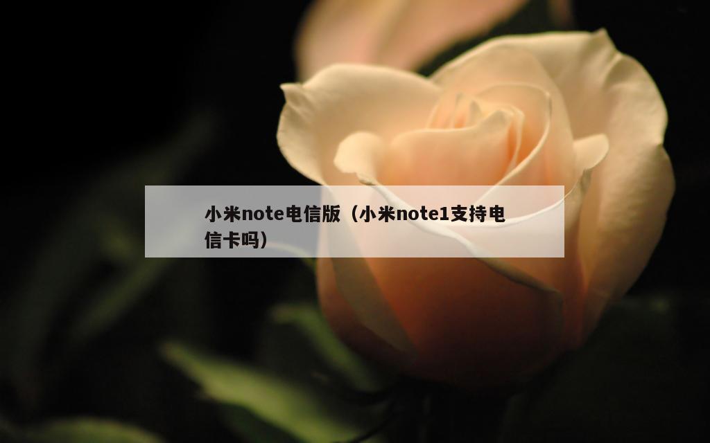 小米note电信版（小米note1支持电信卡吗）