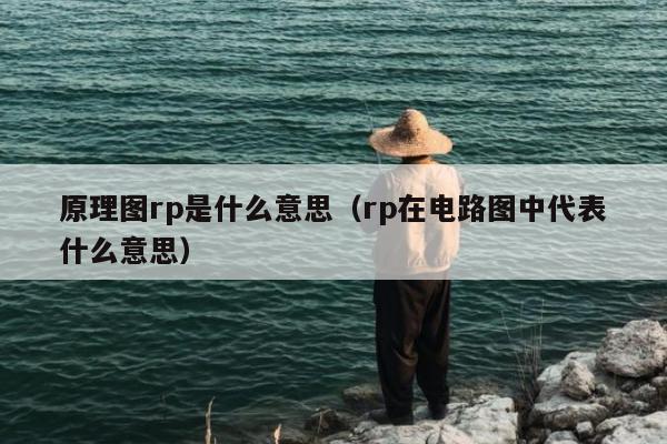 原理图rp是什么意思（rp在电路图中代表什么意思）