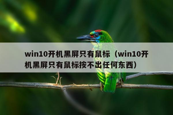 win10开机黑屏只有鼠标（win10开机黑屏只有鼠标按不出任何东西）