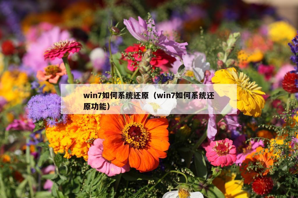 win7如何系统还原（win7如何系统还原功能）