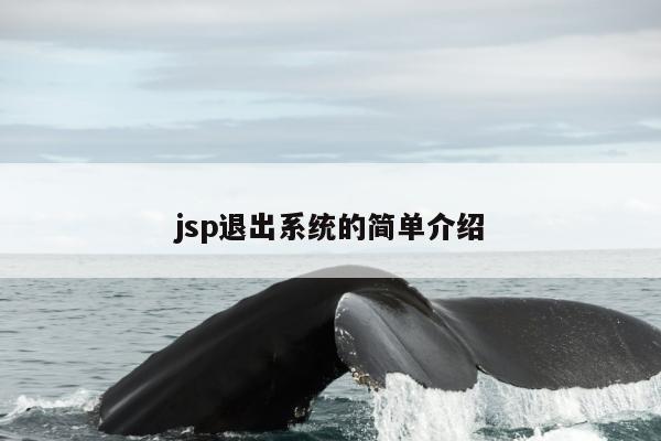 jsp退出系统的简单介绍