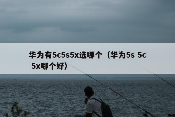 华为有5c5s5x选哪个（华为5s 5c 5x哪个好）