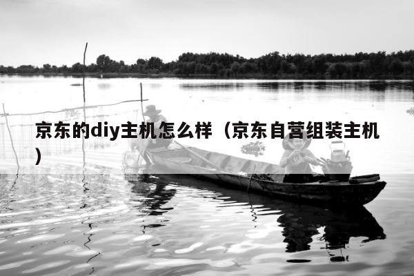 京东的diy主机怎么样（京东自营组装主机）