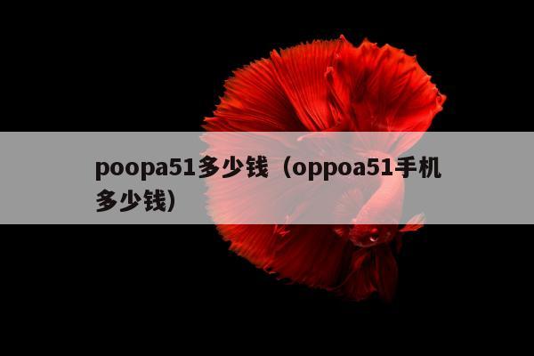 poopa51多少钱（oppoa51手机多少钱）