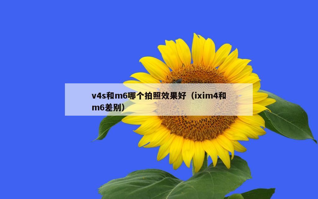 v4s和m6哪个拍照效果好（ixim4和m6差别）