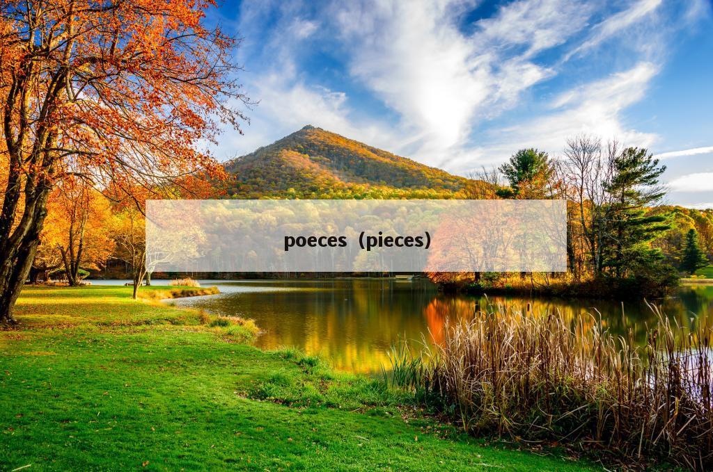 poeces（pieces）