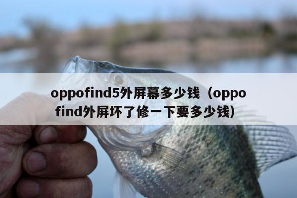 oppofind5外屏幕多少钱（oppo find外屏坏了修一下要多少钱）