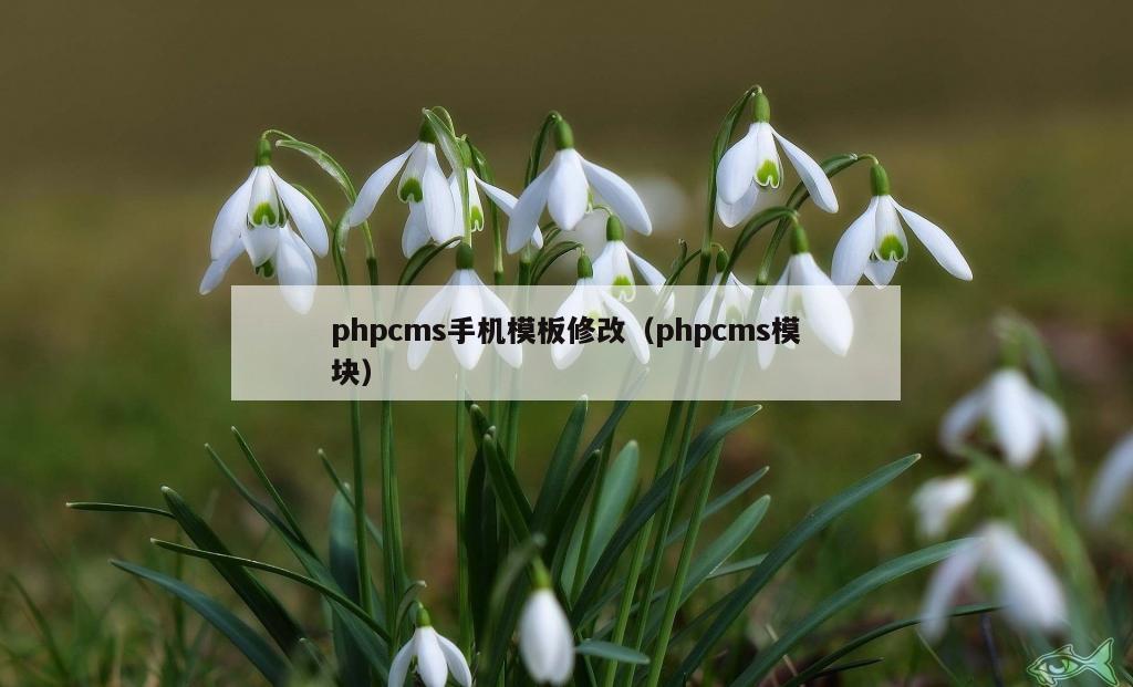 phpcms手机模板修改（phpcms模块）