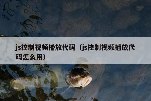 js控制视频播放代码（js控制视频播放代码怎么用）