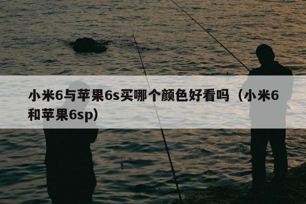 小米6与苹果6s买哪个颜色好看吗（小米6和苹果6sp）