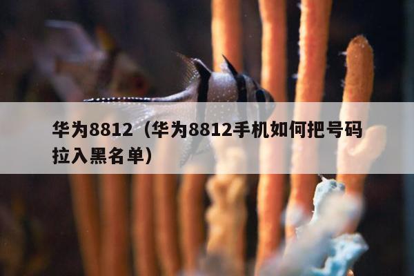 华为8812（华为8812手机如何把号码拉入黑名单）