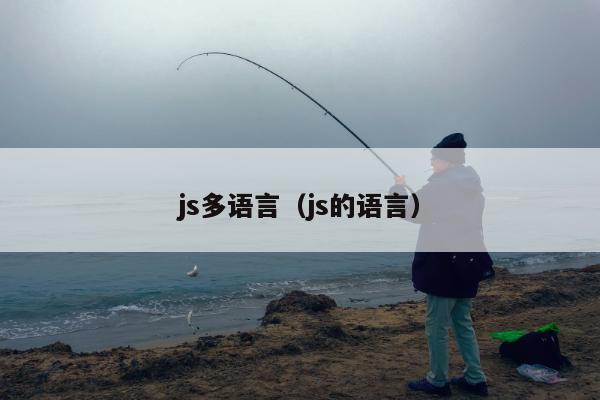 js多语言（js的语言）