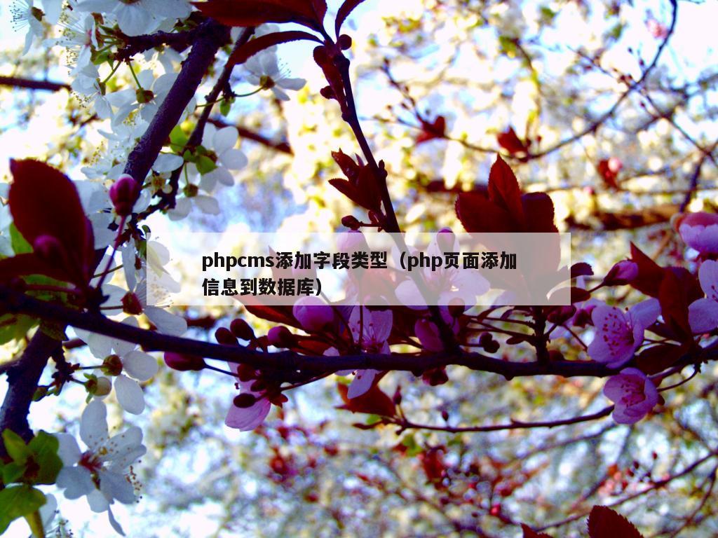 phpcms添加字段类型（php页面添加信息到数据库）