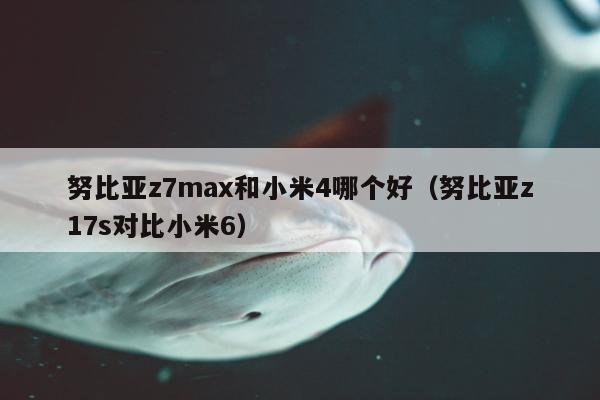 努比亚z7max和小米4哪个好（努比亚z17s对比小米6）