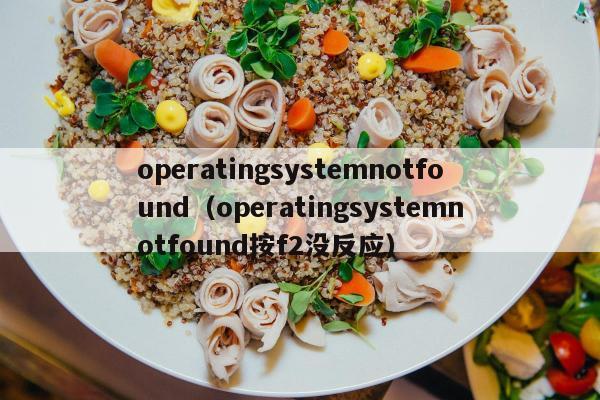 operatingsystemnotfound（operatingsystemnotfound按f2没反应）