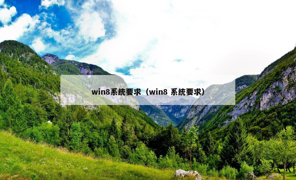 win8系统要求（win8 系统要求）