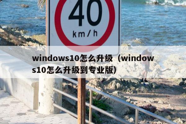 windows10怎么升级（windows10怎么升级到专业版）