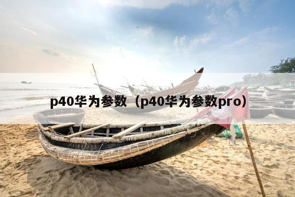 p40华为参数（p40华为参数pro）