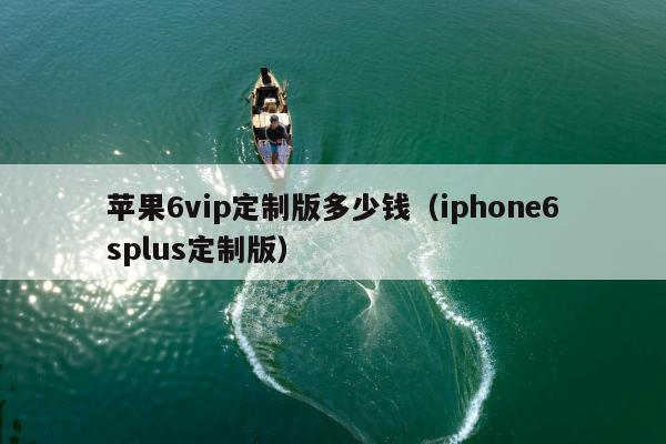 苹果6vip定制版多少钱（iphone6splus定制版）