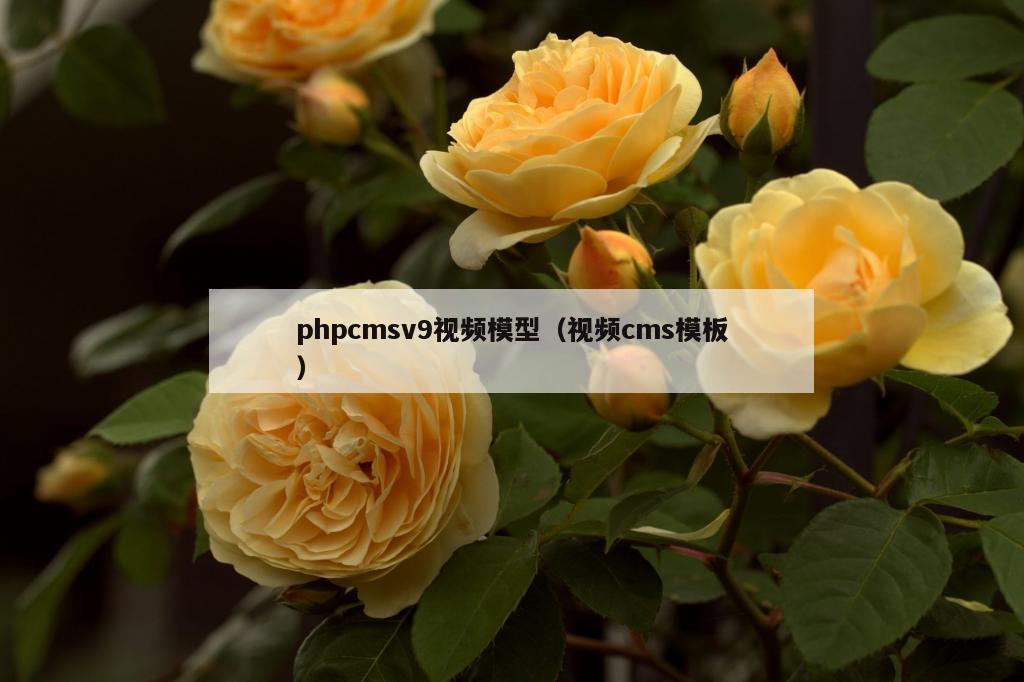 phpcmsv9视频模型（视频cms模板）