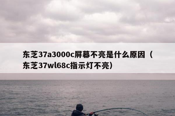 东芝37a3000c屏幕不亮是什么原因（东芝37wl68c指示灯不亮）