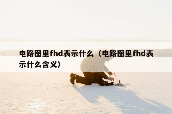 电路图里fhd表示什么（电路图里fhd表示什么含义）