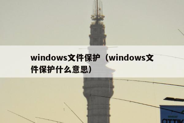 windows文件保护（windows文件保护什么意思）