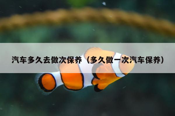 汽车多久去做次保养（多久做一次汽车保养）