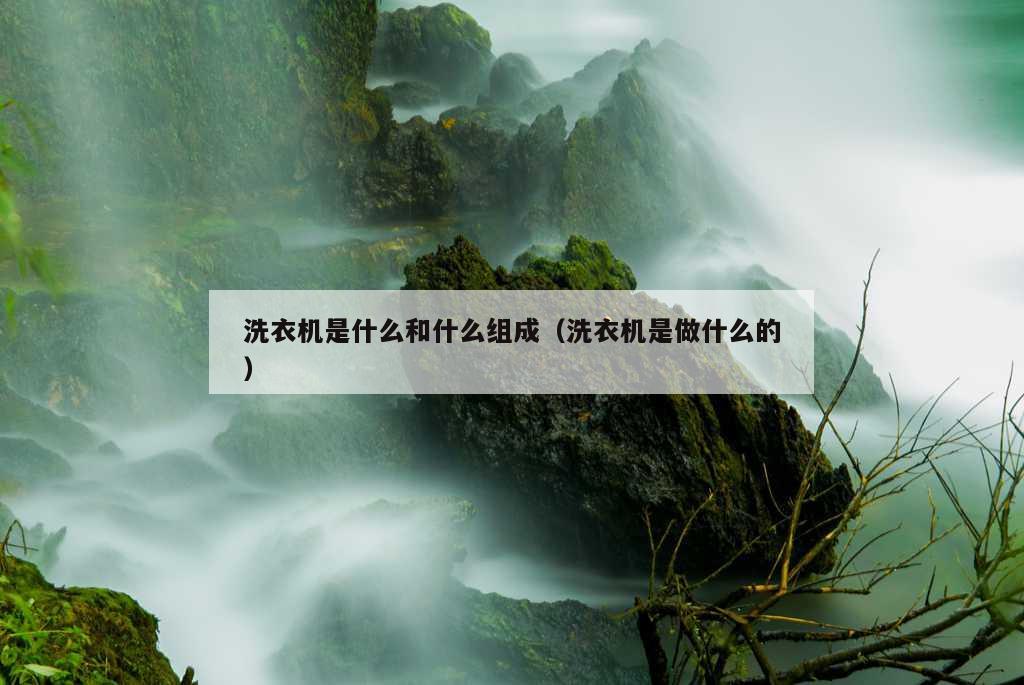 洗衣机是什么和什么组成（洗衣机是做什么的）