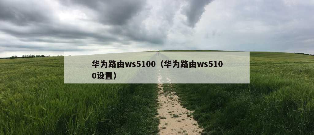 华为路由ws5100（华为路由ws5100设置）