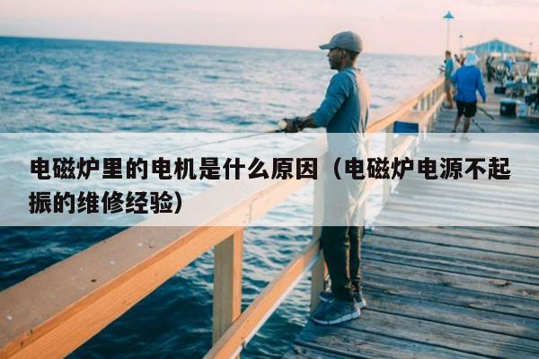 电磁炉里的电机是什么原因（电磁炉电源不起振的维修经验）