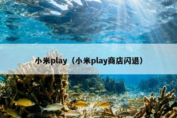 小米play（小米play商店闪退）