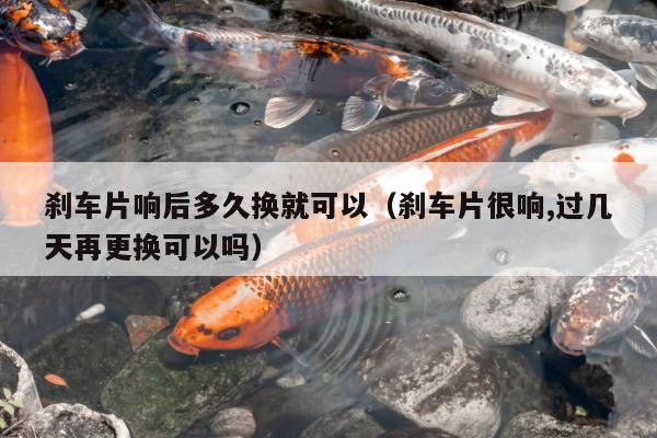 刹车片响后多久换就可以（刹车片很响,过几天再更换可以吗）