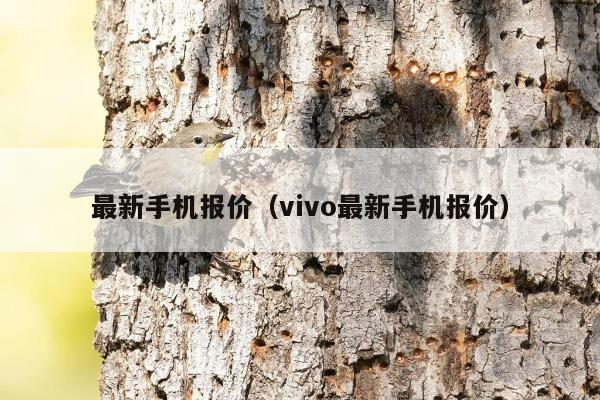 最新手机报价（vivo最新手机报价）