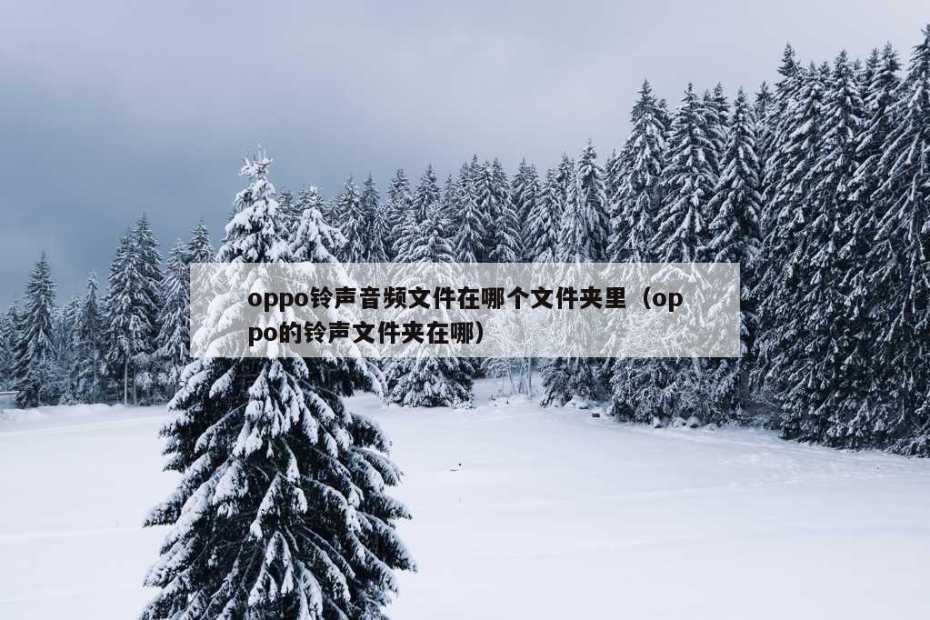 oppo铃声音频文件在哪个文件夹里（oppo的铃声文件夹在哪）