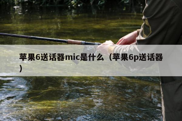 苹果6送话器mic是什么（苹果6p送话器）