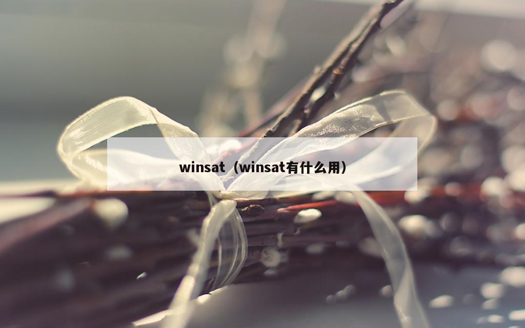 winsat（winsat有什么用）