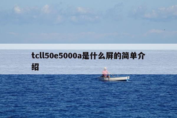 tcll50e5000a是什么屏的简单介绍